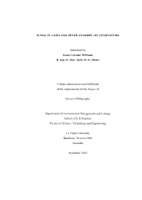 Chapter 5), While Fungal Biomass Was Below Detection Limits