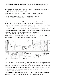 Implications for the Bolivian Orocline