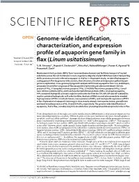 Genome-Wide Identification, Characterization, and Expression