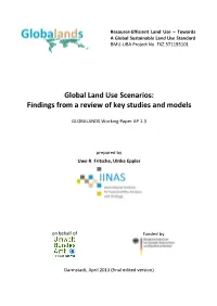 Global Land Use Scenarios: Findings from a Review of Key Studies and Models