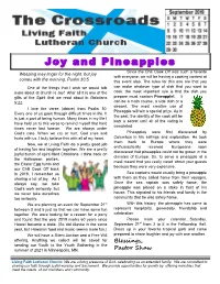 Joy and Pineapples