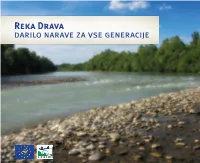 Reka Drava Darilo Narave Za Vse Generacije