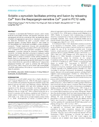 Soluble Α-Synuclein Facilitates Priming and Fusion by Releasing Ca2+ From