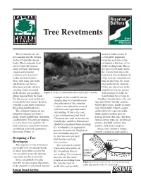 Tree Revetments