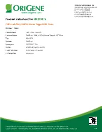 Cdk5rap1 (NM 025876) Mouse Tagged ORF Clone Product Data