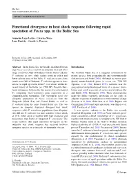 Functional Divergence in Heat Shock Response Following Rapid Speciation of Fucus Spp