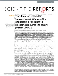 Translocation of the ABC Transporter ABCD4 from the Endoplasmic