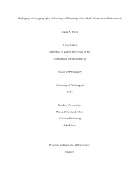 (Verbenaceae) Laura A. Frost a Dissertation Submit
