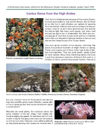 Cactus Gems from the High Andes