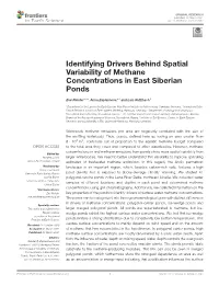 Identifying Drivers Behind Spatial Variability of Methane Concentrations in East Siberian Ponds
