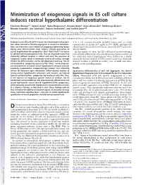 Minimization of Exogenous Signals in ES Cell Culture Induces Rostral Hypothalamic Differentiation