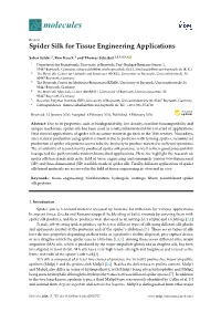 Spider Silk for Tissue Engineering Applications