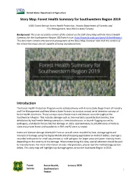 Accessible Report (PDF)