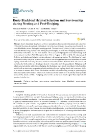 Rusty Blackbird Habitat Selection and Survivorship During Nesting and Post-Fledging