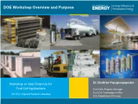 Background and Workshop Objectives, Dimitrios Papageorgopoulos, DOE