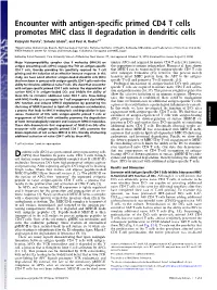 Encounter with Antigen-Specific Primed CD4 T Cells Promotes MHC Class II Degradation in Dendritic Cells