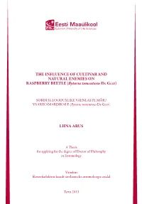 THE INFLUENCE of CULTIVAR and NATURAL ENEMIES on RASPBERRY BEETLE (Byturus Tomentosus De Geer) LIINA ARUS