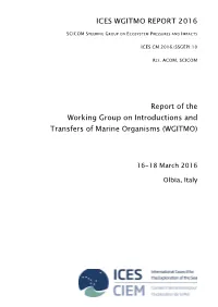 Wgitmo Report 2016