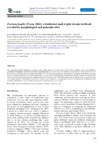 Ferrissia Fragilis (Tryon, 1863): a Freshwater Snail Cryptic Invader in Brazil Revealed by Morphological and Molecular Data