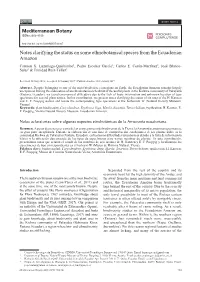 Notes Clarifying the Status on Some Ethnobotanical Species from the Ecuadorian Amazon Carmen X