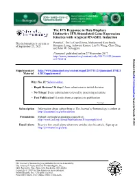 The IFN Response in Bats Displays Distinctive IFN-Stimulated Gene Expression Kinetics with Atypical RNASEL Induction