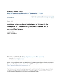 Additions to the Checkered Beetle Fauna of Belize with the Description of a New Species (Coleoptera: Cleridae) and a Nomenclatural Change