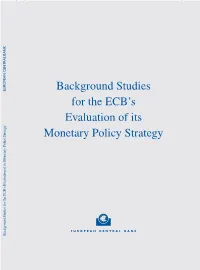 Background Studies for the ECB's Evaluation of Its Monetary Policy