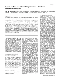 Bacteria and Yeast Associated with Sugar Beet Root Rot at Harvest in the Intermountain West