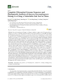 Complete Chloroplast Genome Sequence and Phylogenetic Analysis of Quercus Bawanglingensis Huang, Li Et Xing, a Vulnerable Oak Tree in China