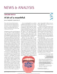 A Bit of a Mouthful James Hadfield & Sophia David