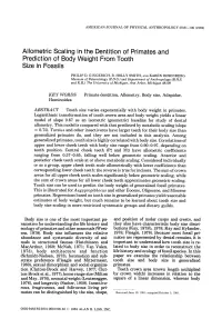 Allometric Scaling in the Dentition of Primates and Prediction of Body Weight from Tooth Size in Fossils