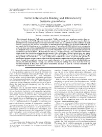 Ferric Enterobactin Binding and Utilization by Neisseria Gonorrhoeae SUSAN D