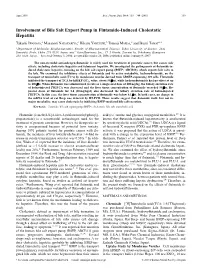 Involvement of Bile Salt Export Pump in Flutamide-Induced Cholestatic Hepatitis