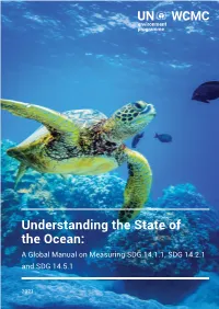 Understanding the State of the Ocean