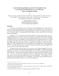 Avian Monitoring and Risk Assessment at Tehachapi Pass and San Gorgonio Pass Wind Resource Areas, California: Phase 1 Preliminary Results