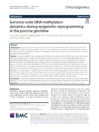 Genome-Wide DNA Methylation Dynamics During Epigenetic