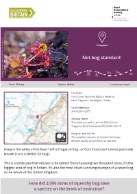 Not Bog Standard Sundew on Cors Caron © Rachel Stelmach (CCL)