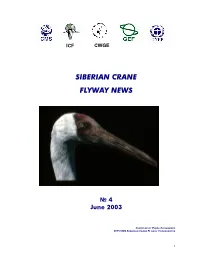 Siberian Crane Flyway News