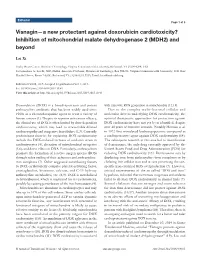 Visnagin—A New Protectant Against Doxorubicin Cardiotoxicity? Inhibition of Mitochondrial Malate Dehydrogenase 2 (MDH2) and Beyond