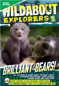 Featuring Polar Bears, Giant Pandas, Brown Bears and Many More All You N
