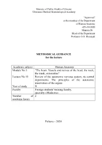 METHODICAL GUIDANCE for the Lecture Academic Subject Human