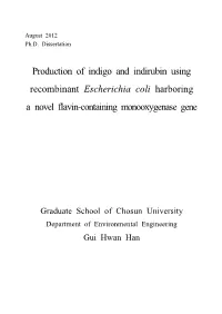 Production of Indigo and Indirubin Using Recombinant Escherichia Coli Harboring a Novel Flavin-Containing Monooxygenase Gene