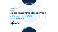 Support De Présentation