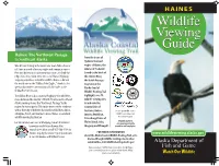 Haines Viewing