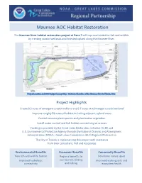 Maumee AOC Habitat Restoration
