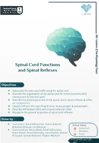 Spinal Cord Functions and Spinal Reflexes