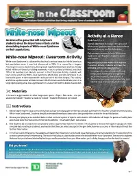 White-Nose Wipeout