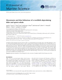 Movements and Dive Behaviour of a Toothfish-Depredating Killer And