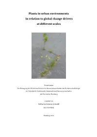 Plants in Urban Environments in Relation to Global Change Drivers at Different Scales