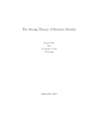 The Strong Theory of Relative Identity